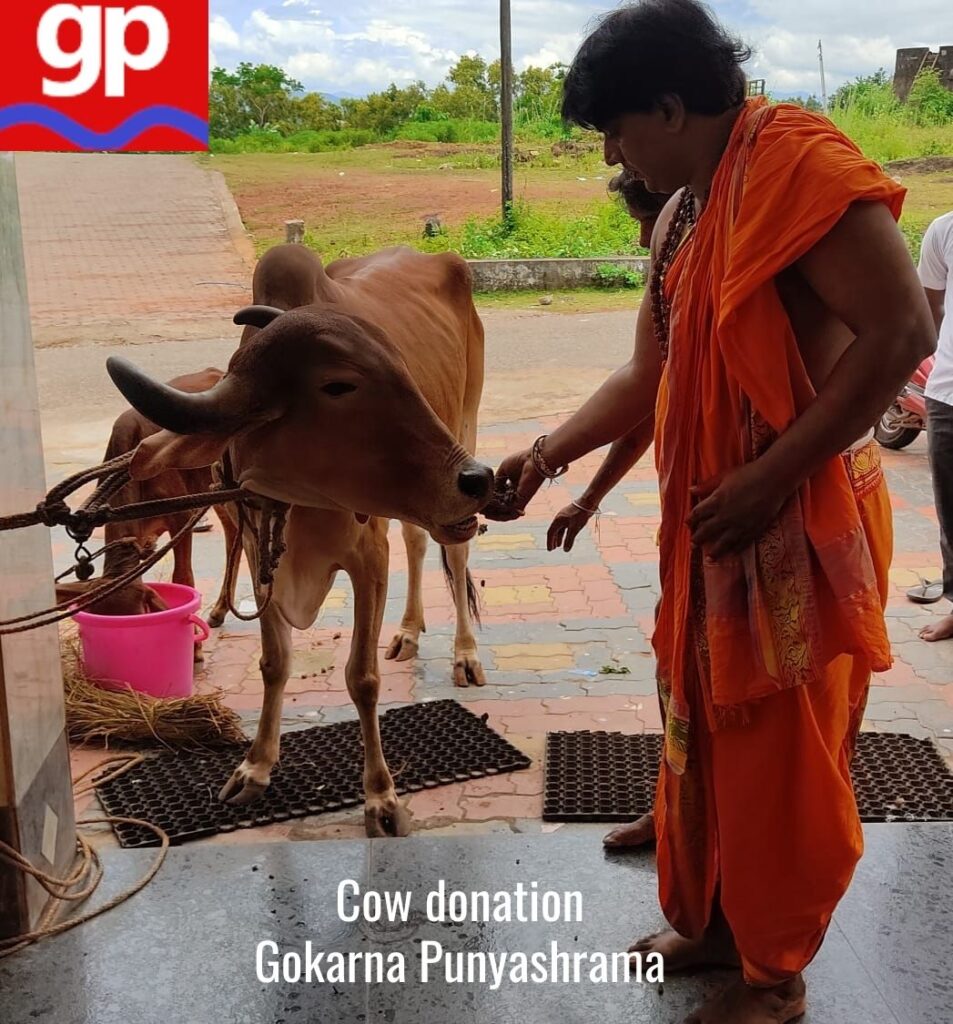 cow donation 